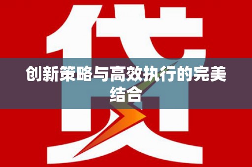 蔡甸创新策略与高效执行的完美结合