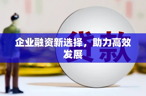 蔡甸企业融资新选择，助力高效发展