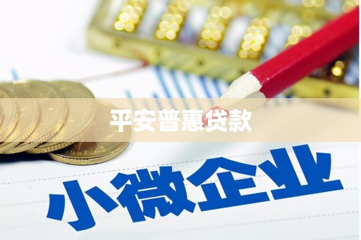 蔡甸平安普惠贷款