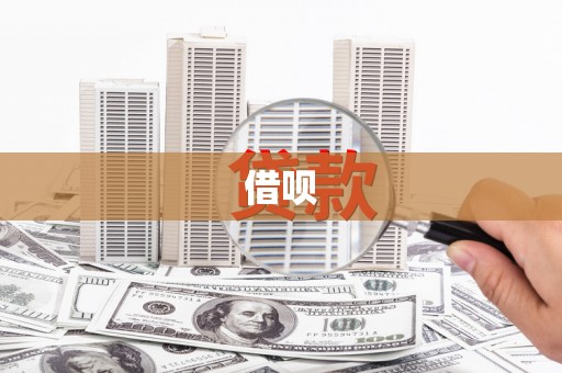 蔡甸借呗