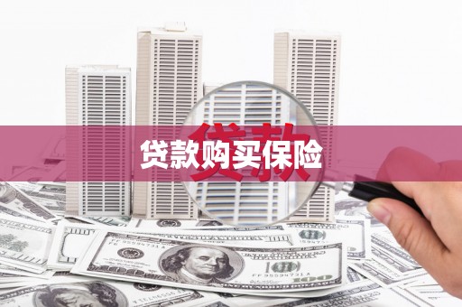 蔡甸贷款购买保险