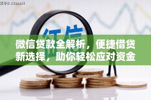 蔡甸微信贷款全解析，便捷借贷新选择，助你轻松应对资金需求