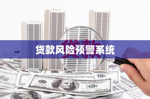 蔡甸贷款风险预警系统