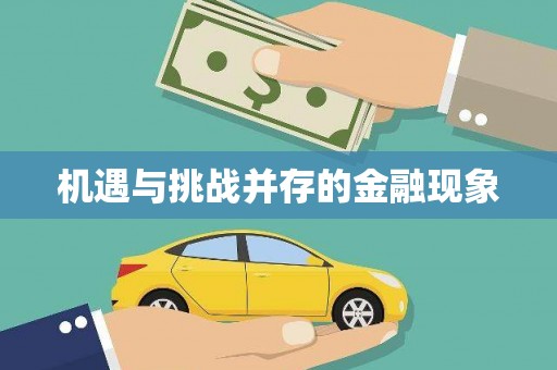 蔡甸机遇与挑战并存的金融现象