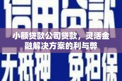 蔡甸小额贷款公司贷款，灵活金融解决方案的利与弊