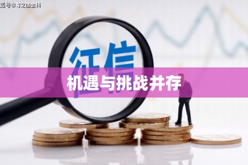 蔡甸机遇与挑战并存