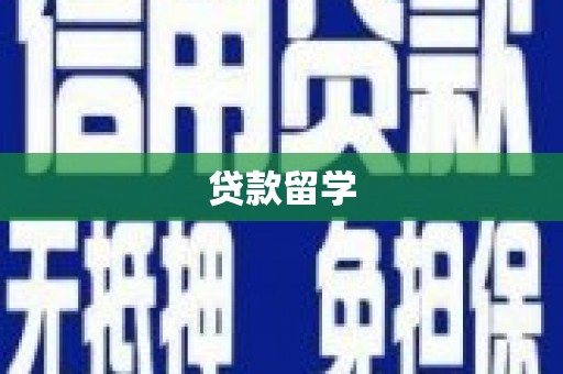 蔡甸贷款留学